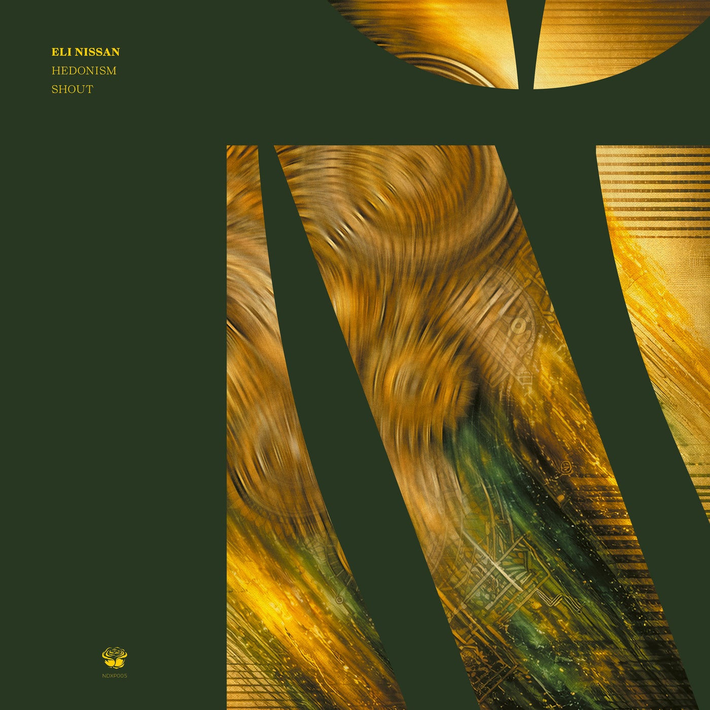 Cover - Eli Nissan - Shout (Original Mix) Promo tools