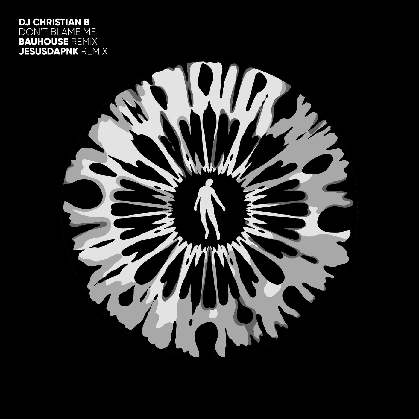 Cover - DJ Christian B - The Reason (Original Mix) Promo tools