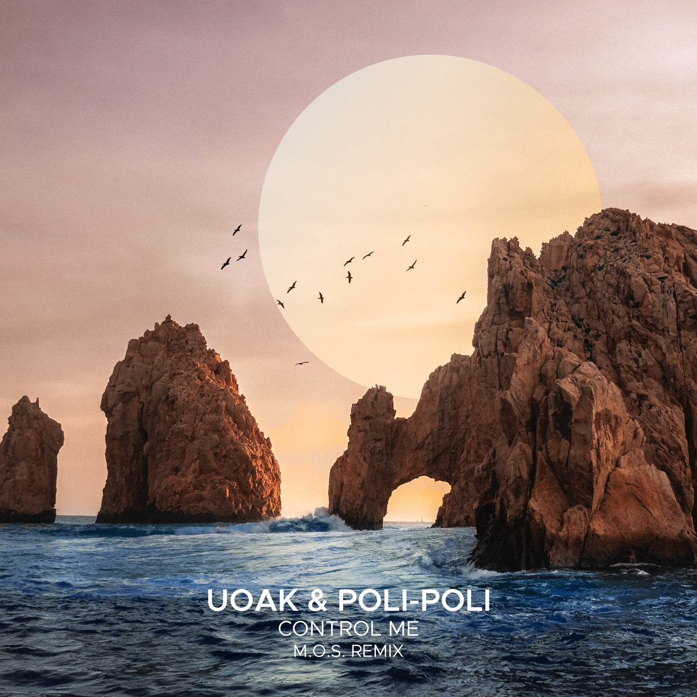 Cover - UOAK, Poli-Poli - Control Me (M.O.S. Extended Remix) Promo tools