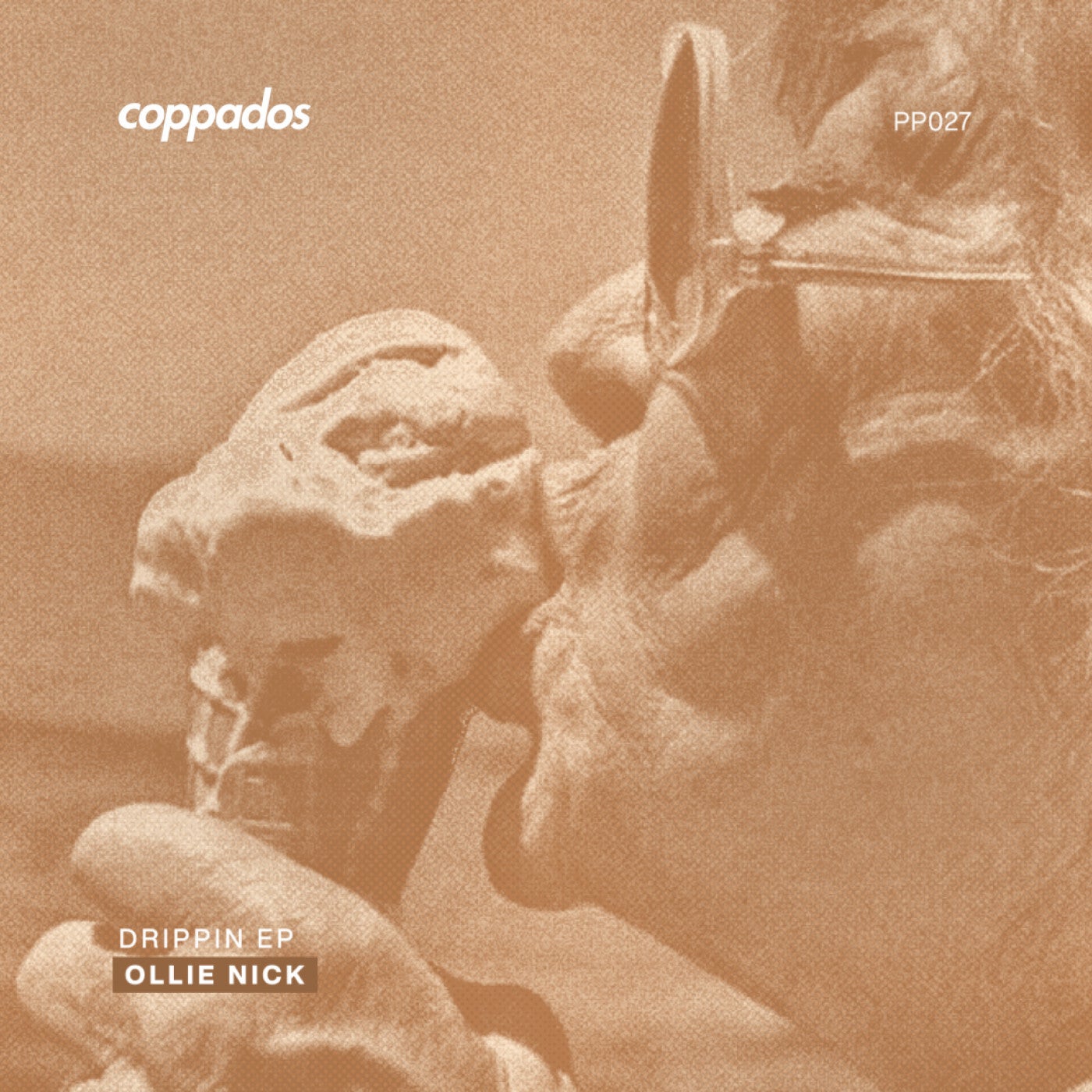 Cover - Ollie Nick - Drippin' (Original Mix) Promo tools