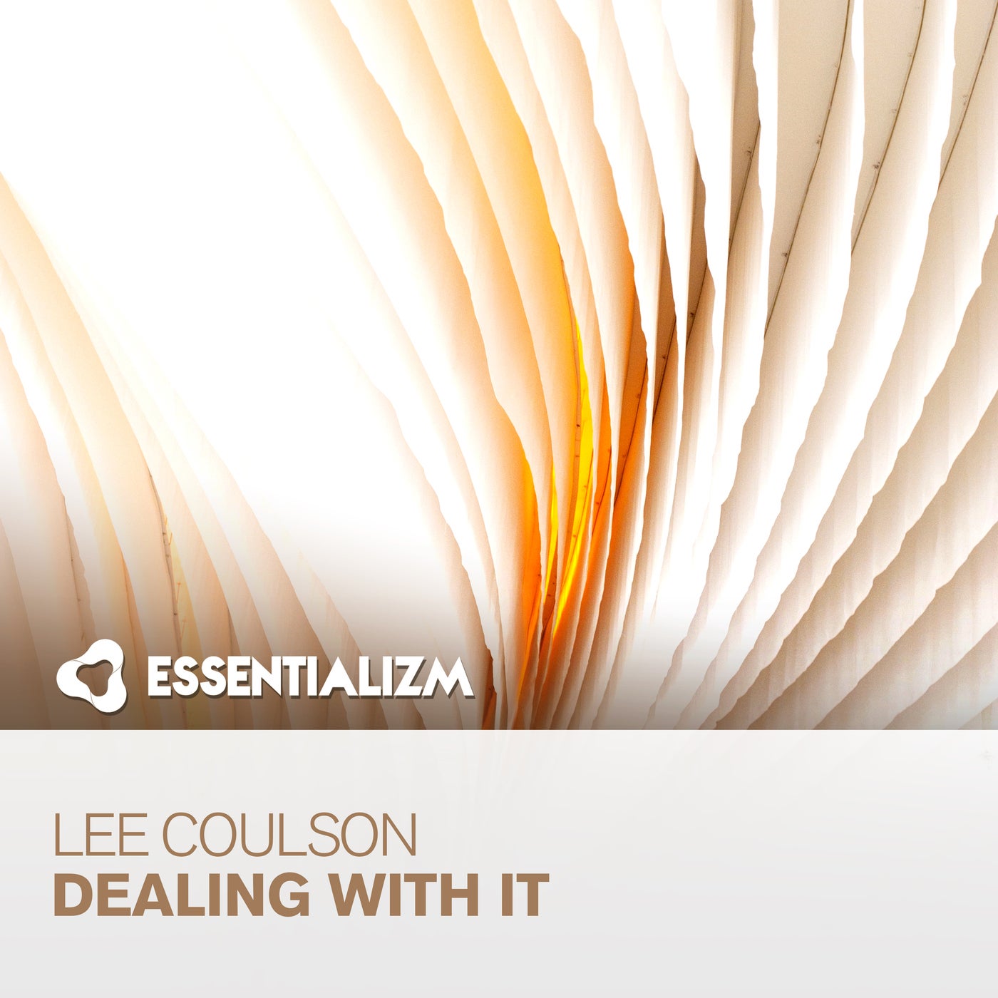 Cover - Lee Coulson - Dealing With It (Extended MIx) Promo tools