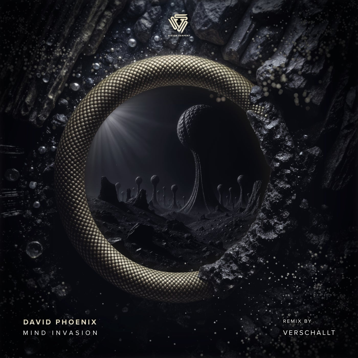 Cover - David Phoenix - Mind Invasion (Original Mix) Promo tools