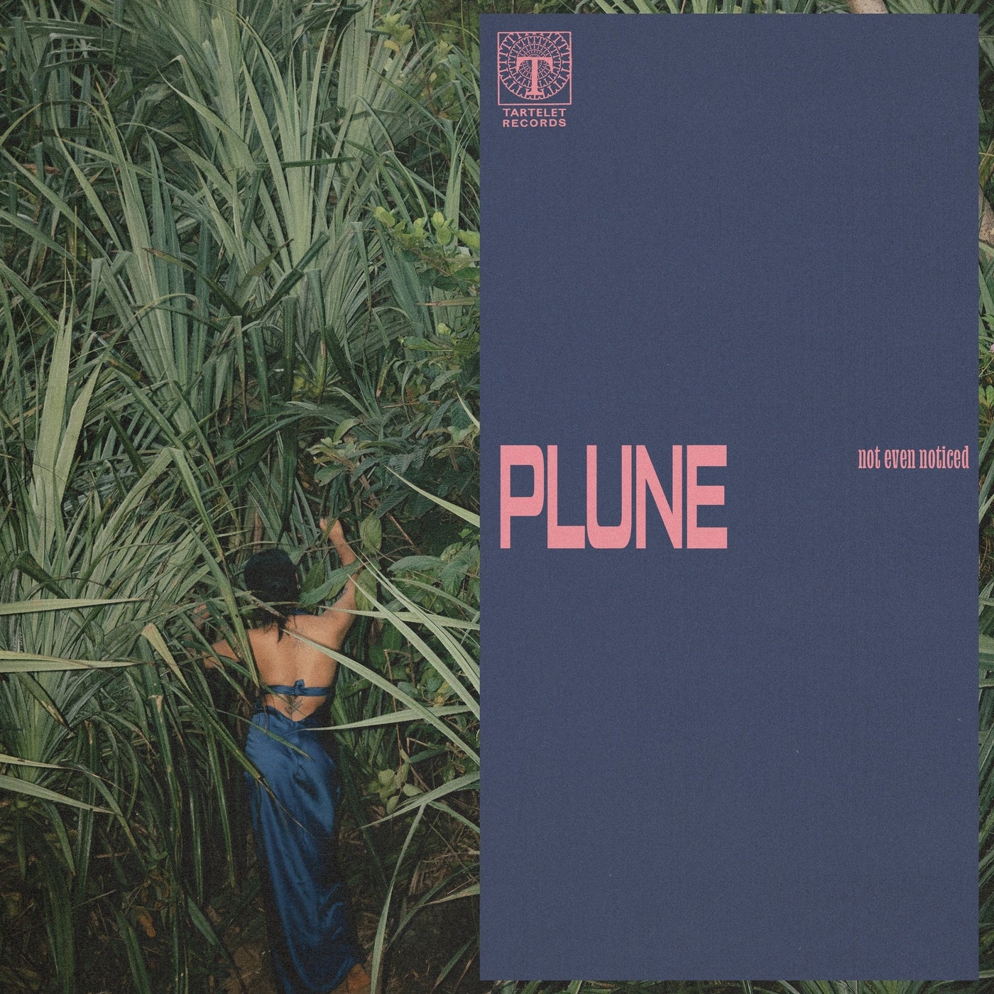 Cover - not even noticed - plune (Original Mix) Promo tools