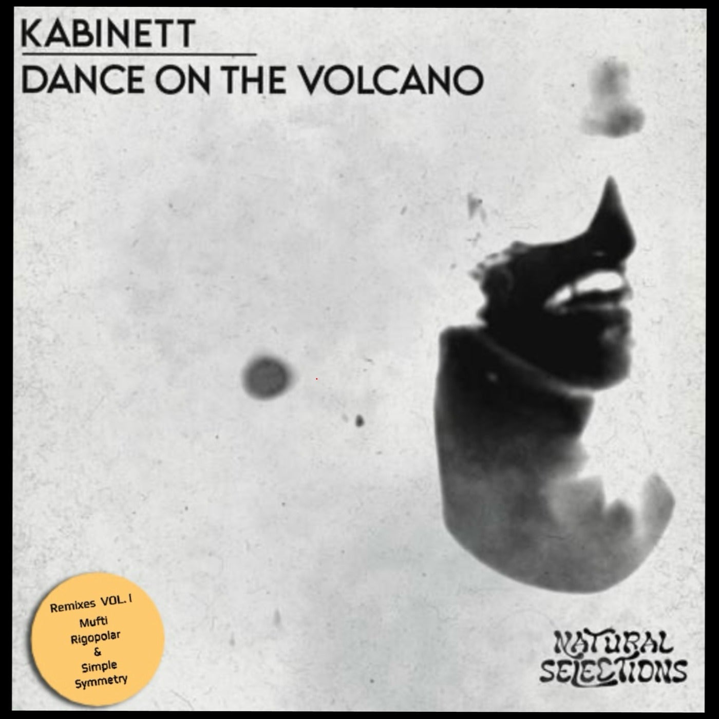 Cover - Kabinett - Officer (Rigopolar Remix) Promo tools