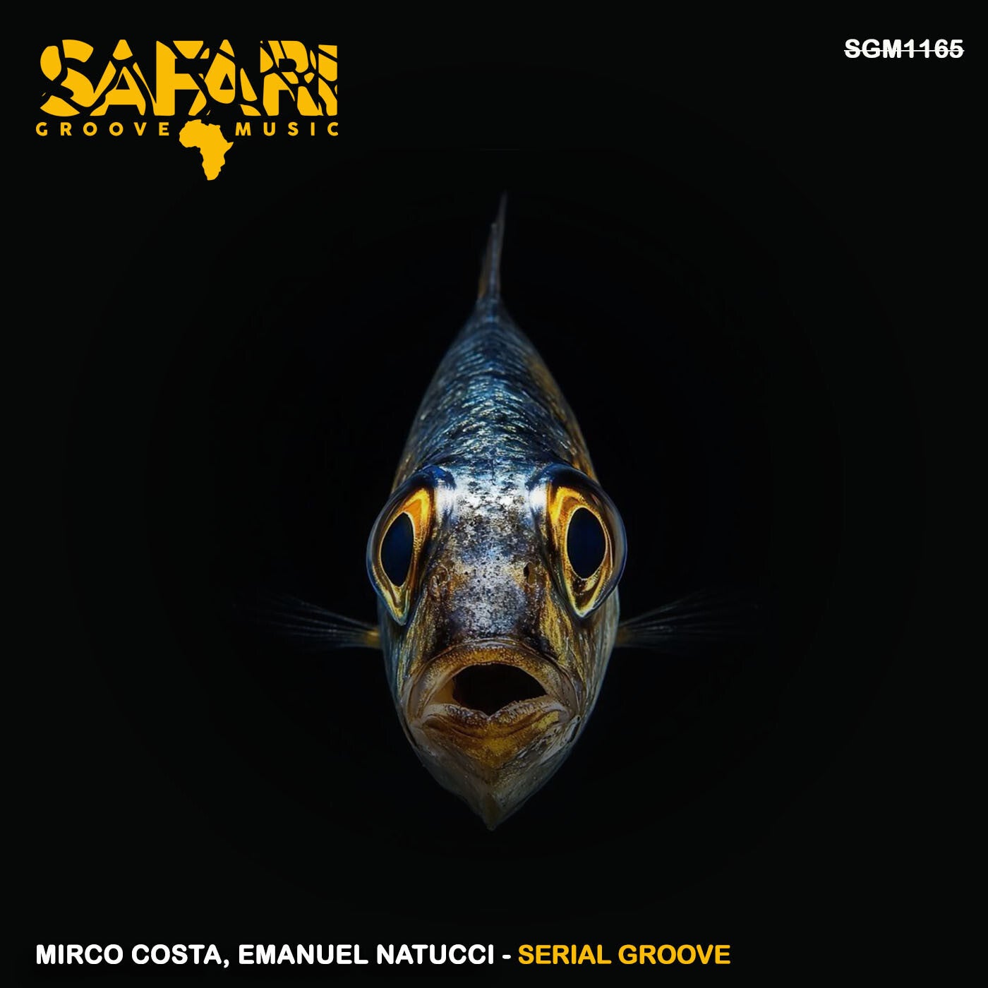 Cover - Emanuel Natucci, Mirco Costa - Serial Groove (Original Mix) Promo tools