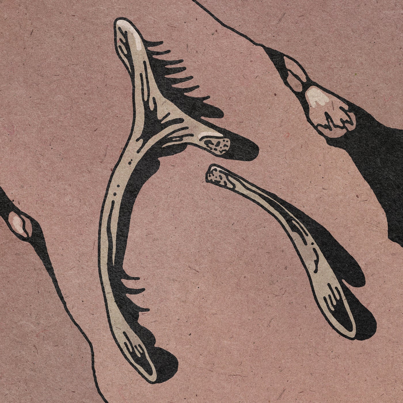 Cover - Janus Rasmussen - Bones (Original Mix) Promo tools