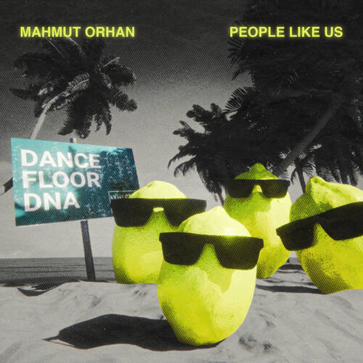 Cover - Mahmut Orhan, People Like Us (TR) - Dance Floor DNA (Extended Mix) Promo tools