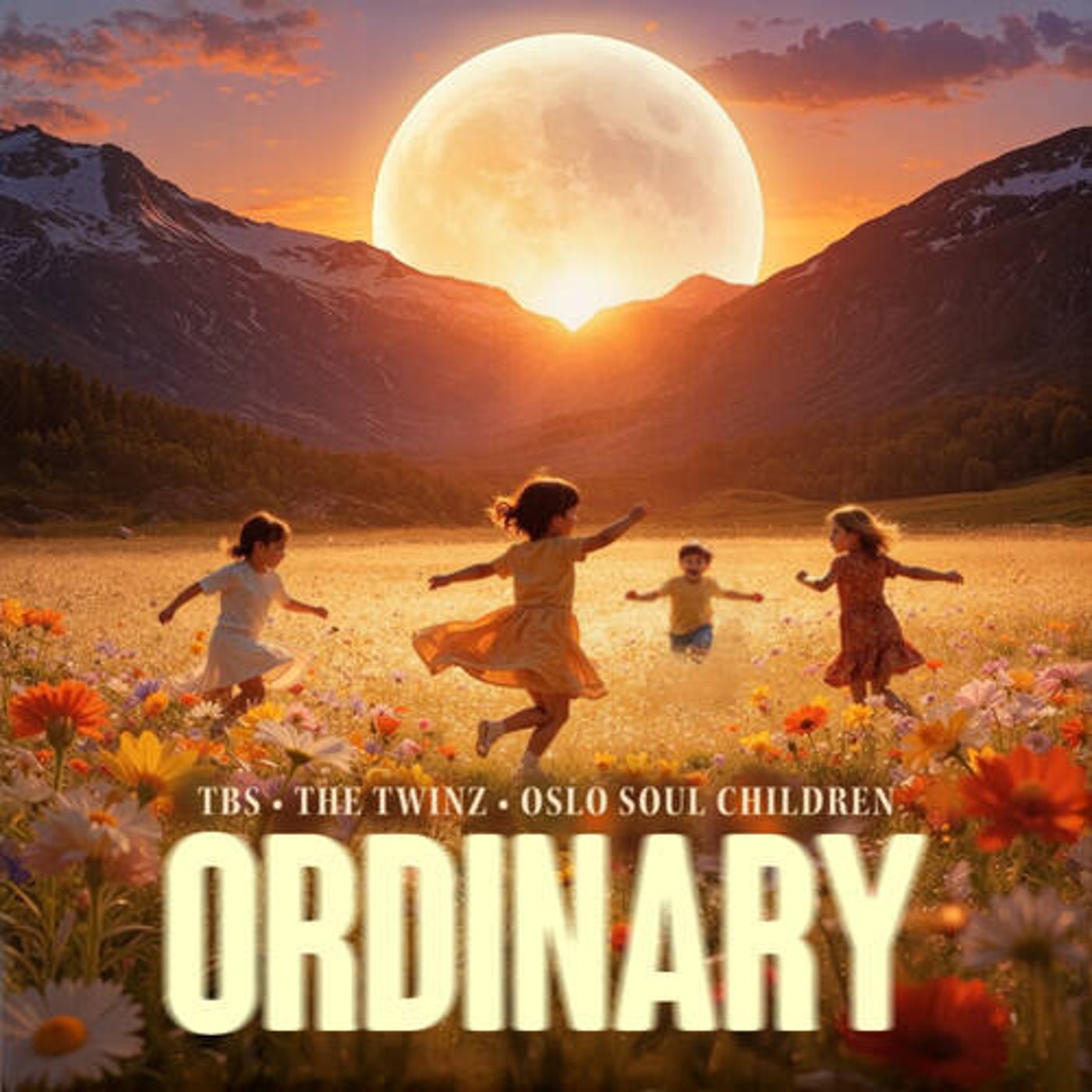 Cover - TBS, The Twinz, Oslo Soul Children - Ordinary (Extended) Promo tools