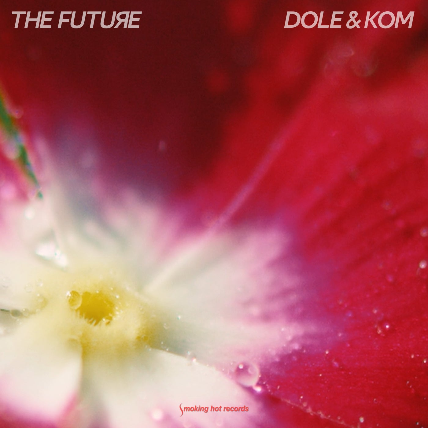 Cover - Dole & Kom - The Future (Original Mix) Promo tools