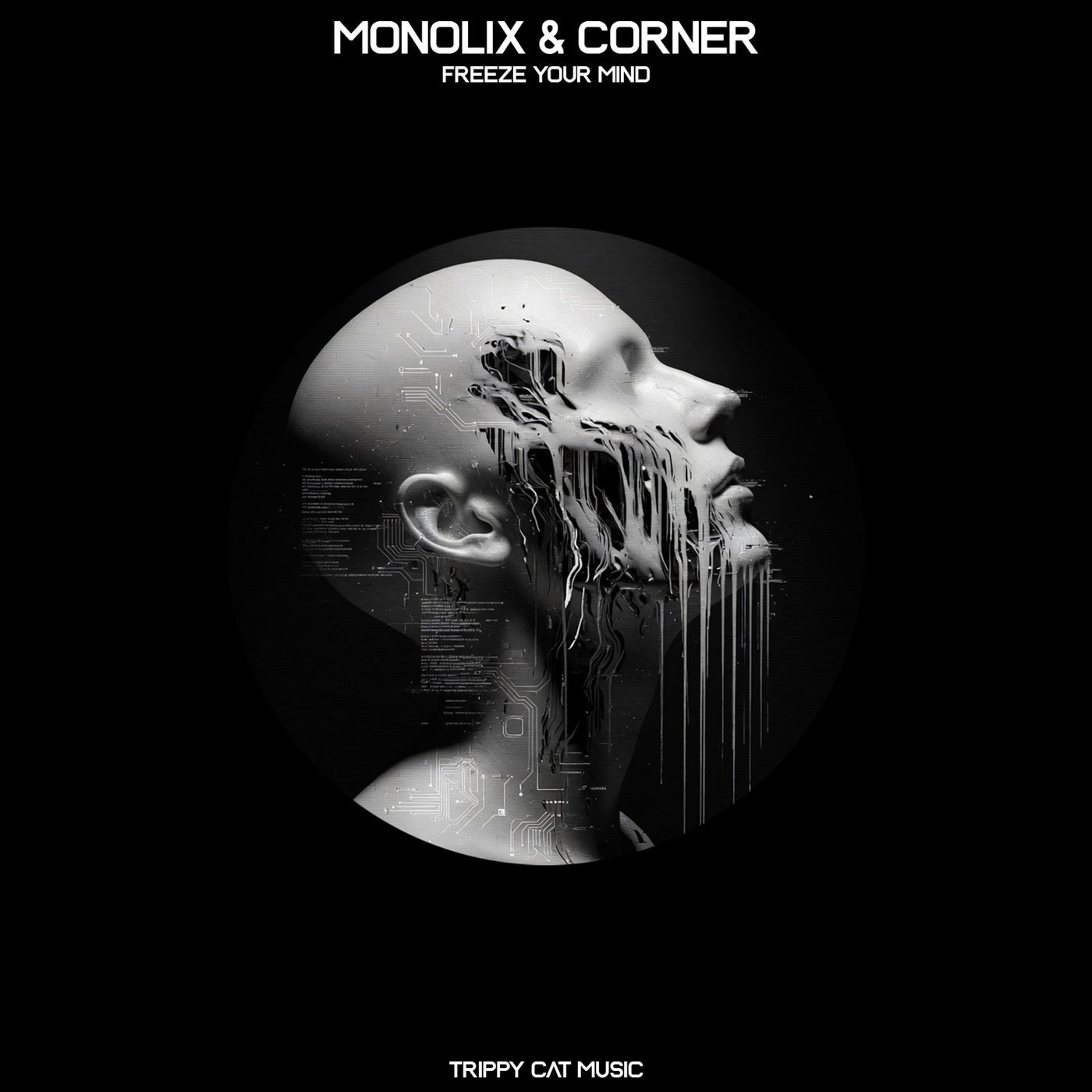 Cover - Corner, Monolix - Freeze Your Mind (Original Mix) Promo tools
