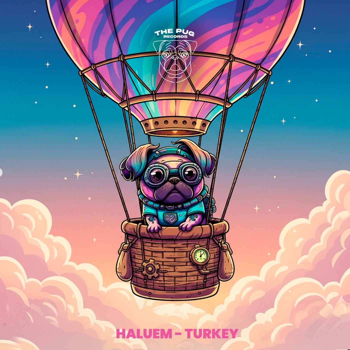 Cover - Haluem - Turkey (Original Mix) Promo tools
