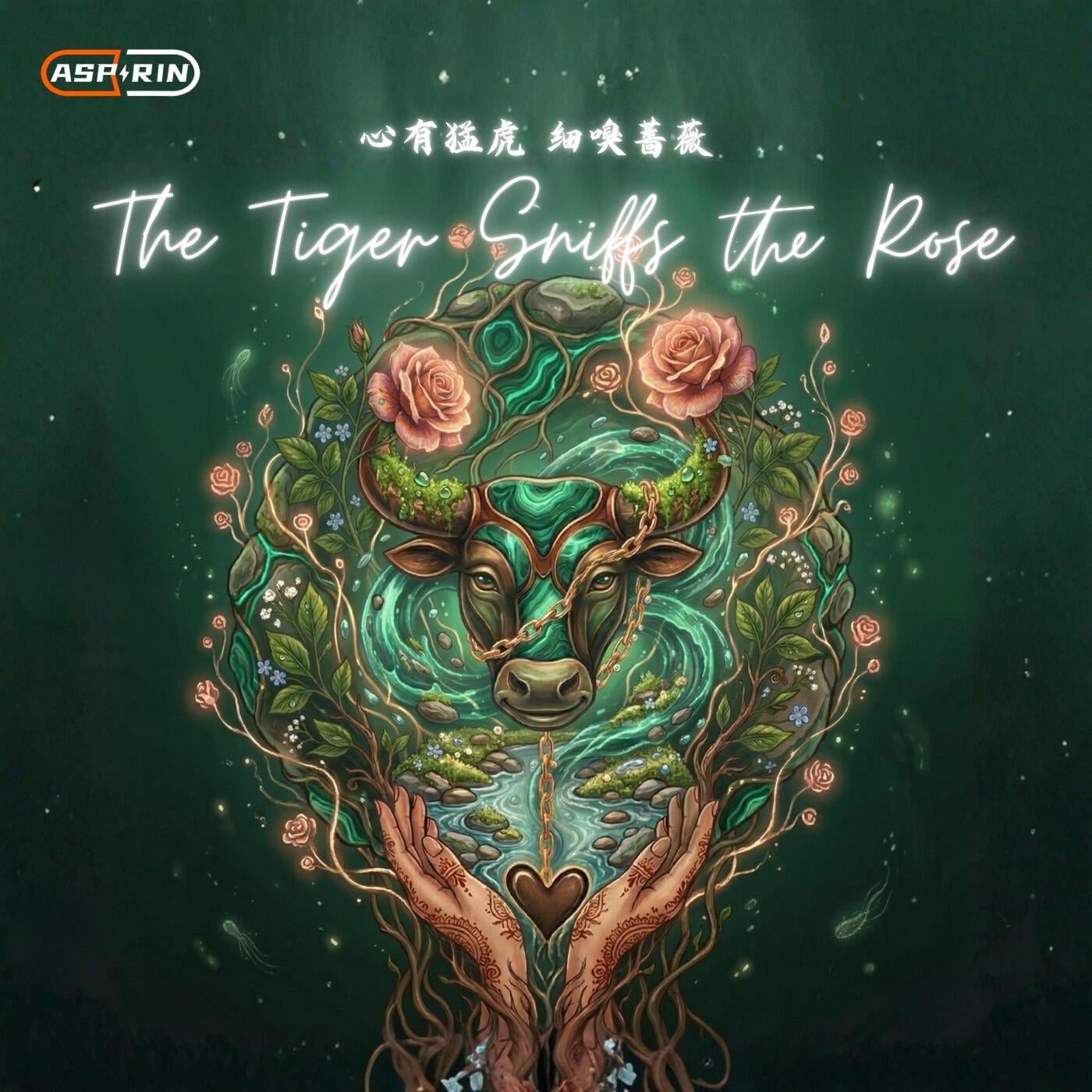 Cover - Aspirin - The Tiger Sniffs the Rose (Original Mix) Promo tools