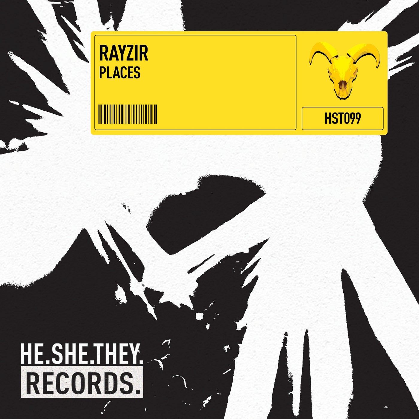 Cover - RAYZIR - Dead Serious (Extended) Promo tools