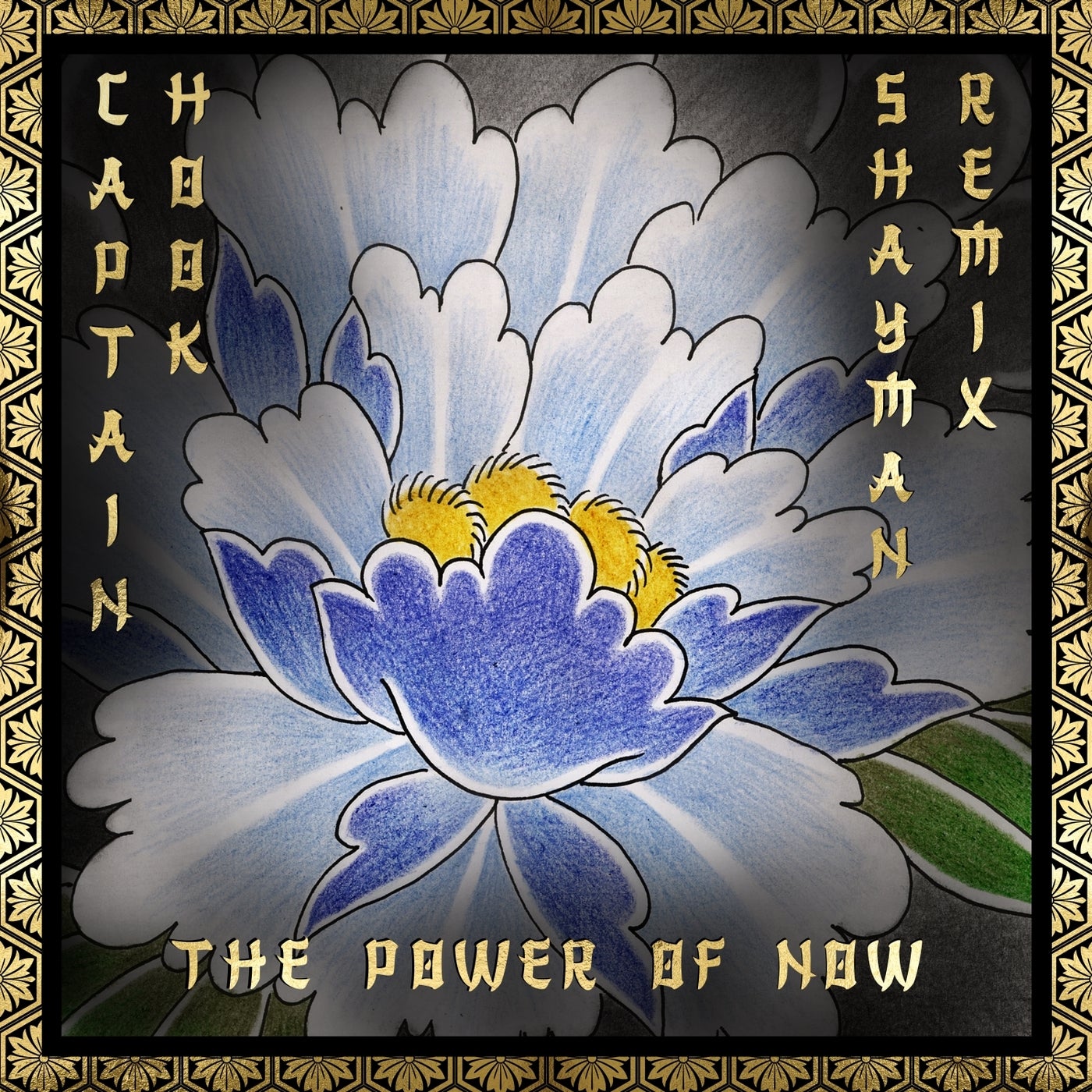 Cover - Captain Hook - The Power of Now (Shayman remix) Promo tools