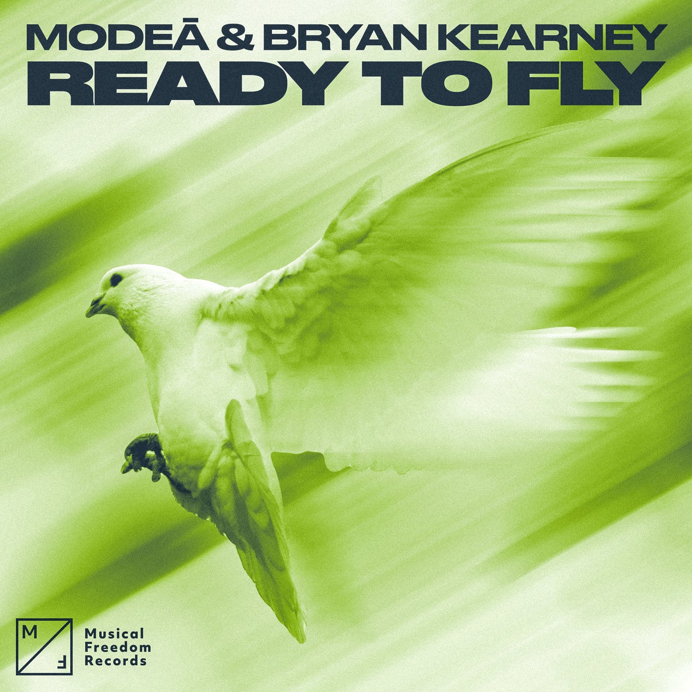 Cover - Bryan Kearney, Modeā - Ready to Fly (Extended Mix) Promo tools