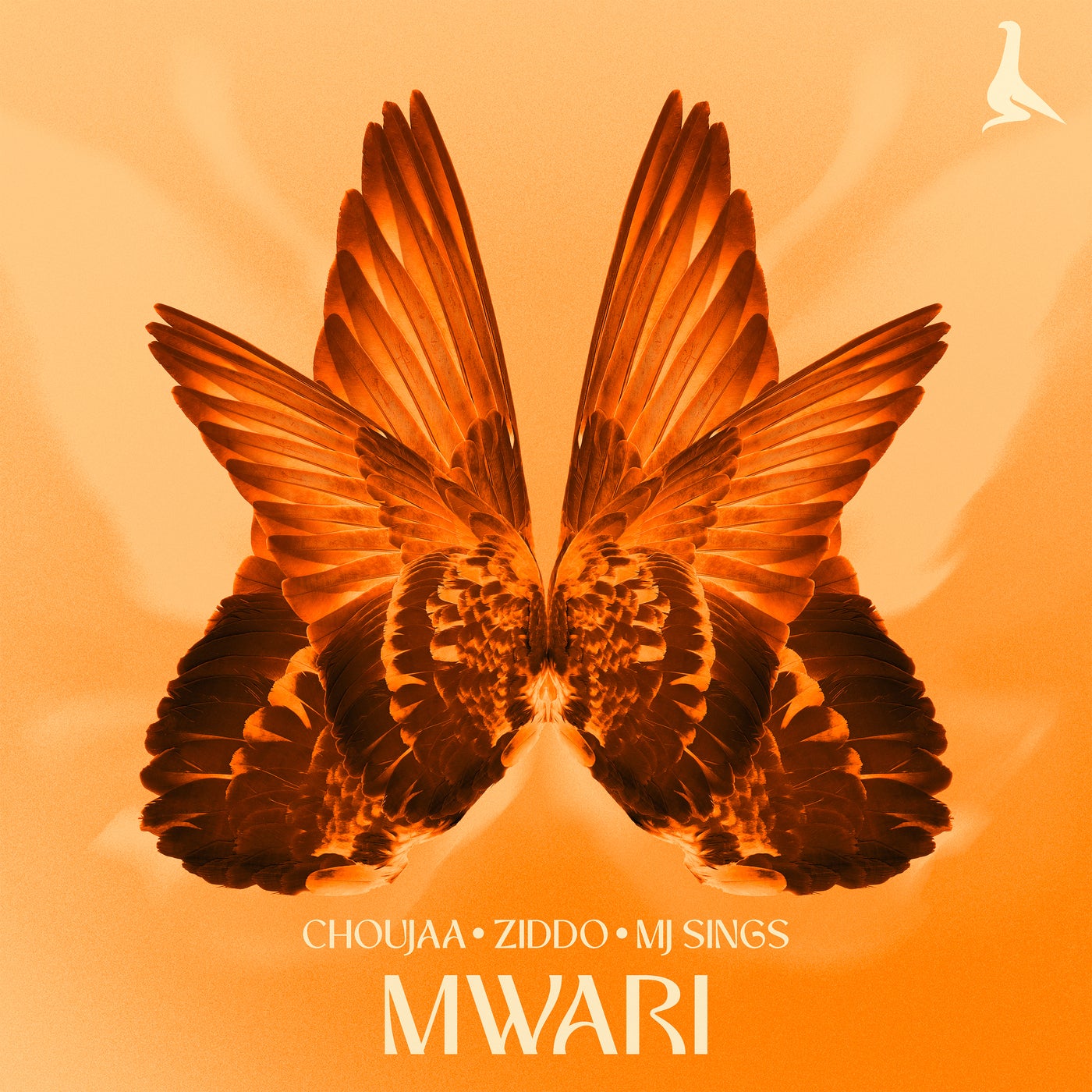 Cover - MJ Sings, ZIDDO, Choujaa - Mwari (Extended Mix) Promo tools