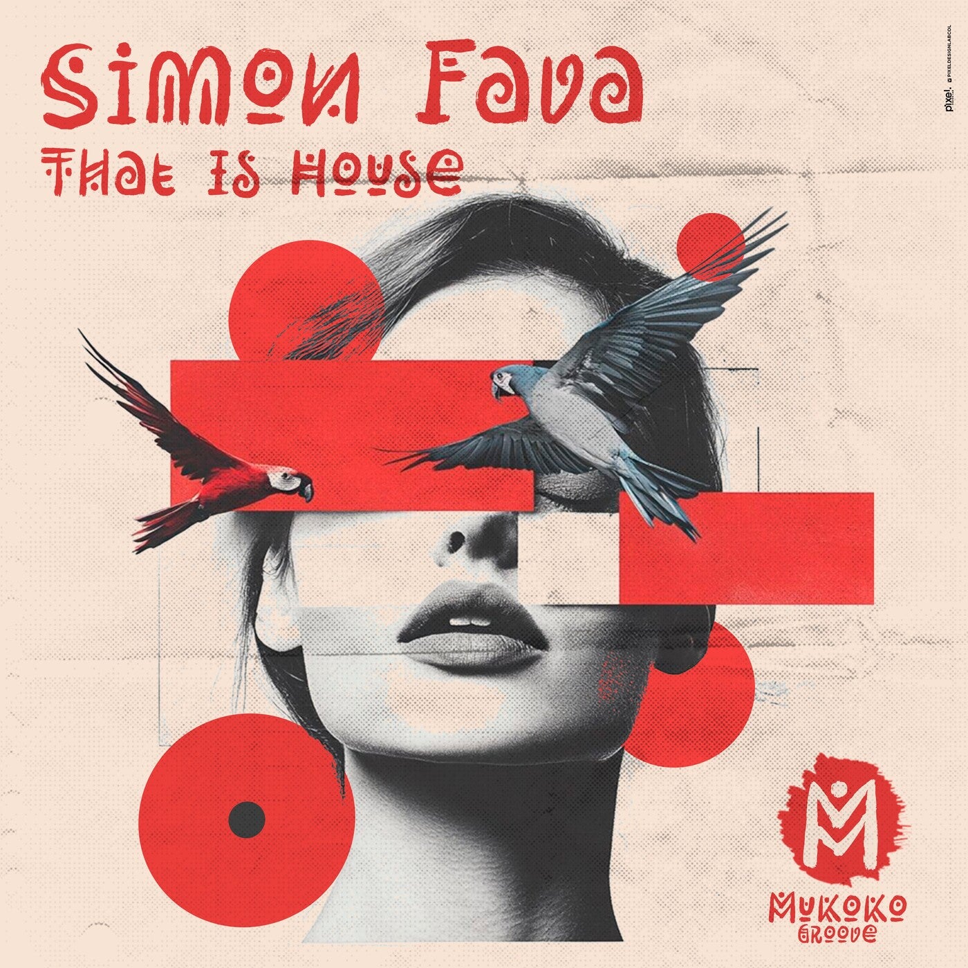 Cover - Simon Fava - That Is House (Extended Mix) Promo tools