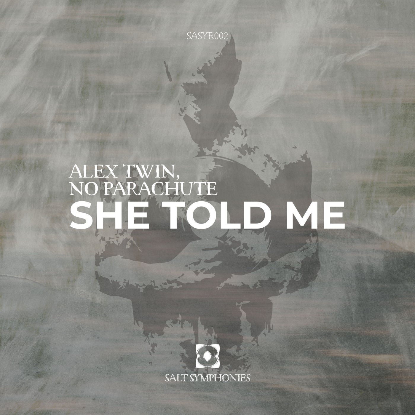 Cover - Alex Twin, No Parachute - She Told Me (Original Mix) Promo tools