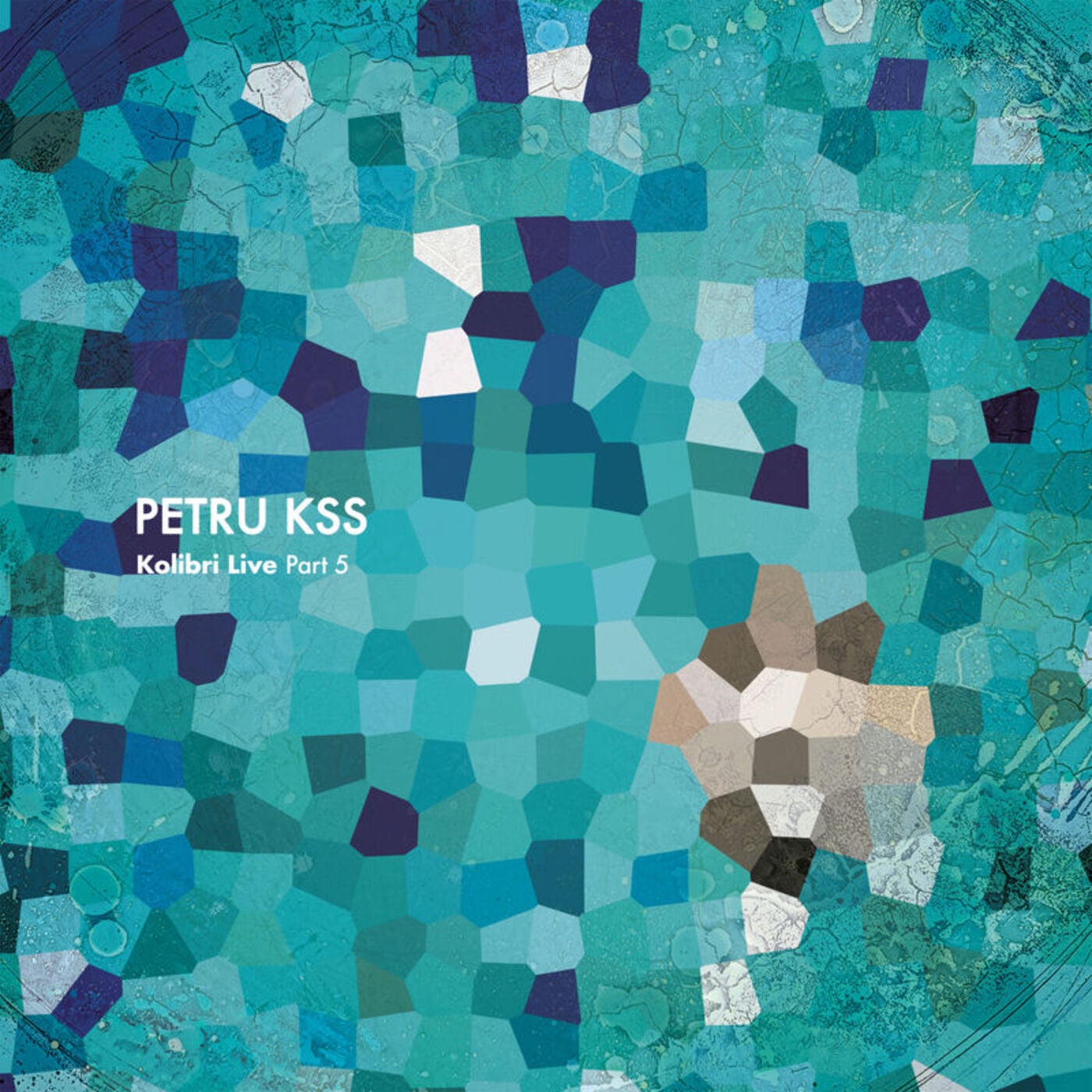 Cover - PETRU KSS - Kasioppea (Hannes Bieger Remix) Promo tools
