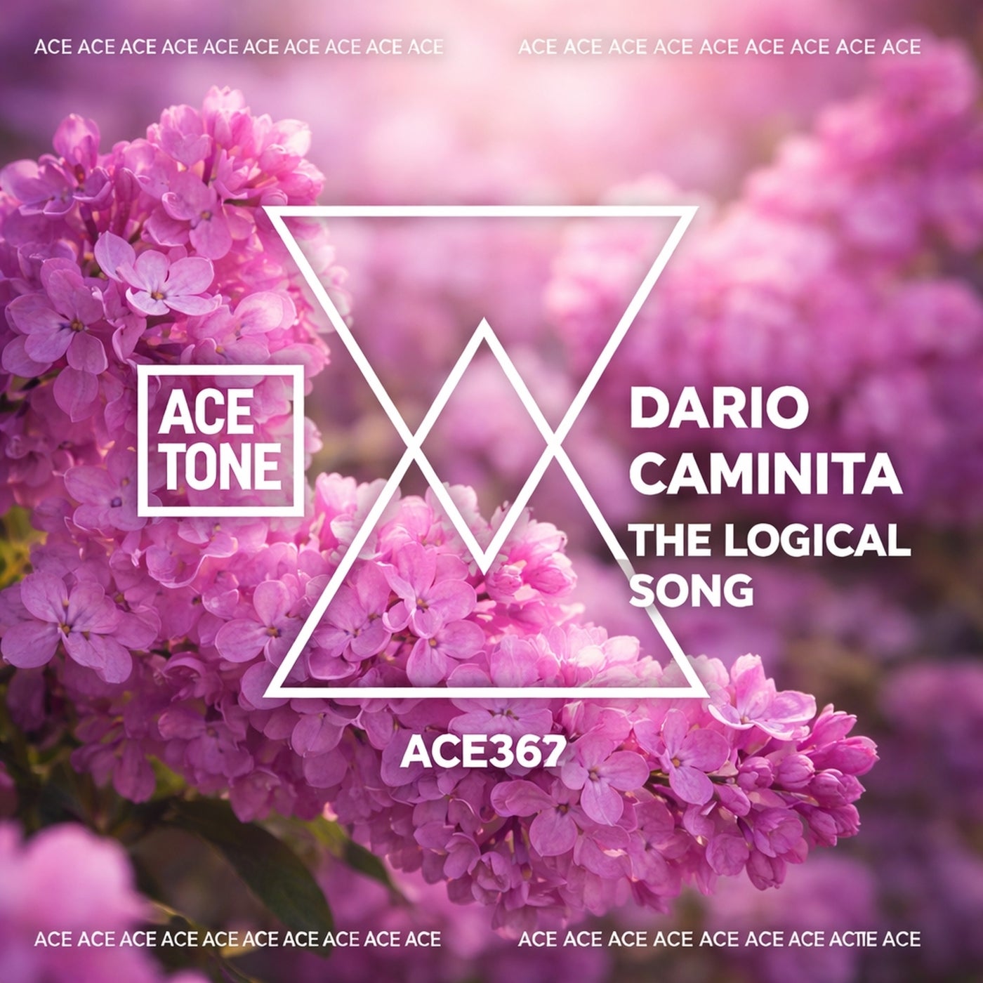 Cover - Dario Caminita - The Logical Song (Original Mix) Promo tools