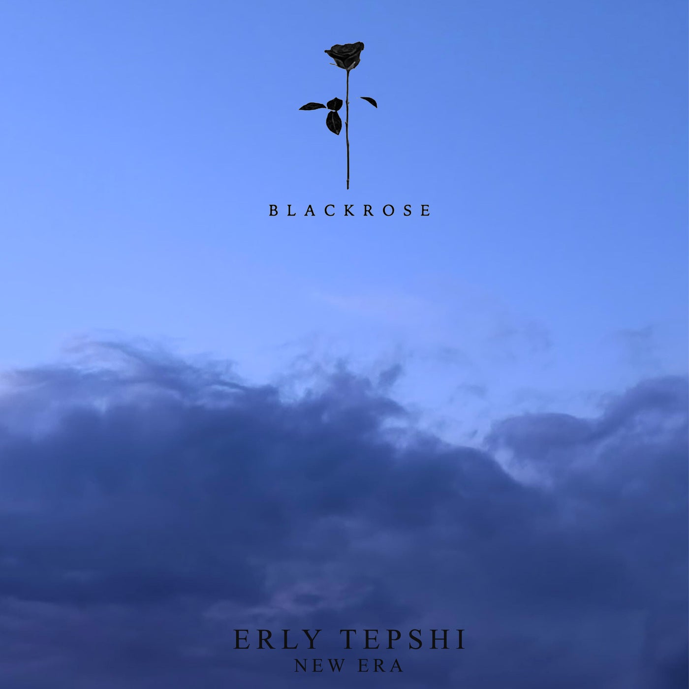 Cover - Erly Tepshi - New Era (Original Mix) Promo tools