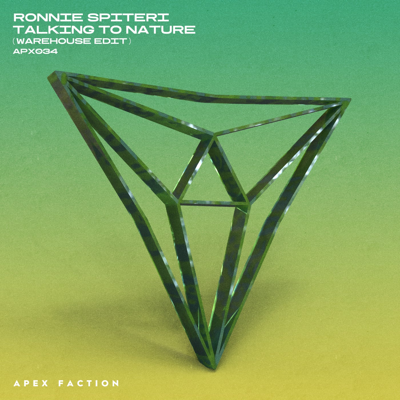 Cover - Ronnie Spiteri - Talking To Nature (Extended Warehouse Edit) Promo tools