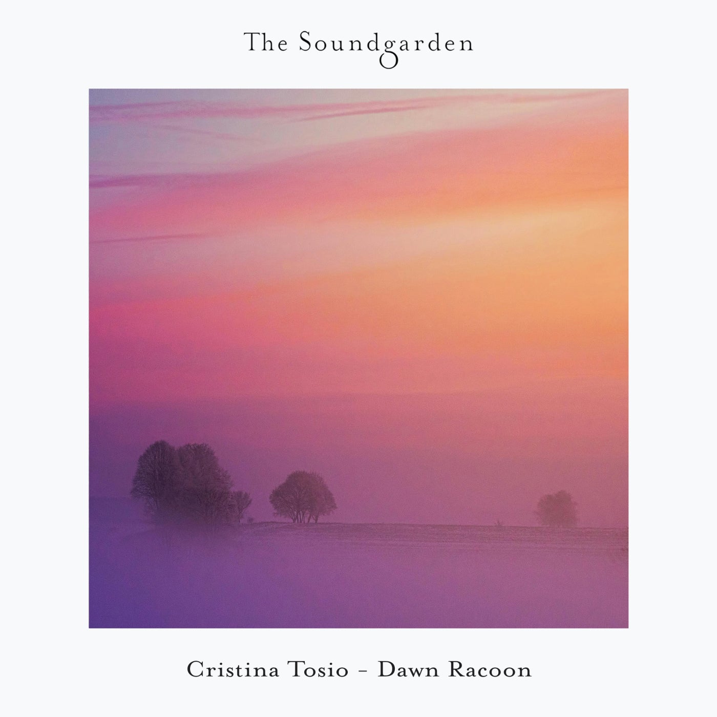 Cover - Cristina Tosio - Sonna (Original Mix) Promo tools