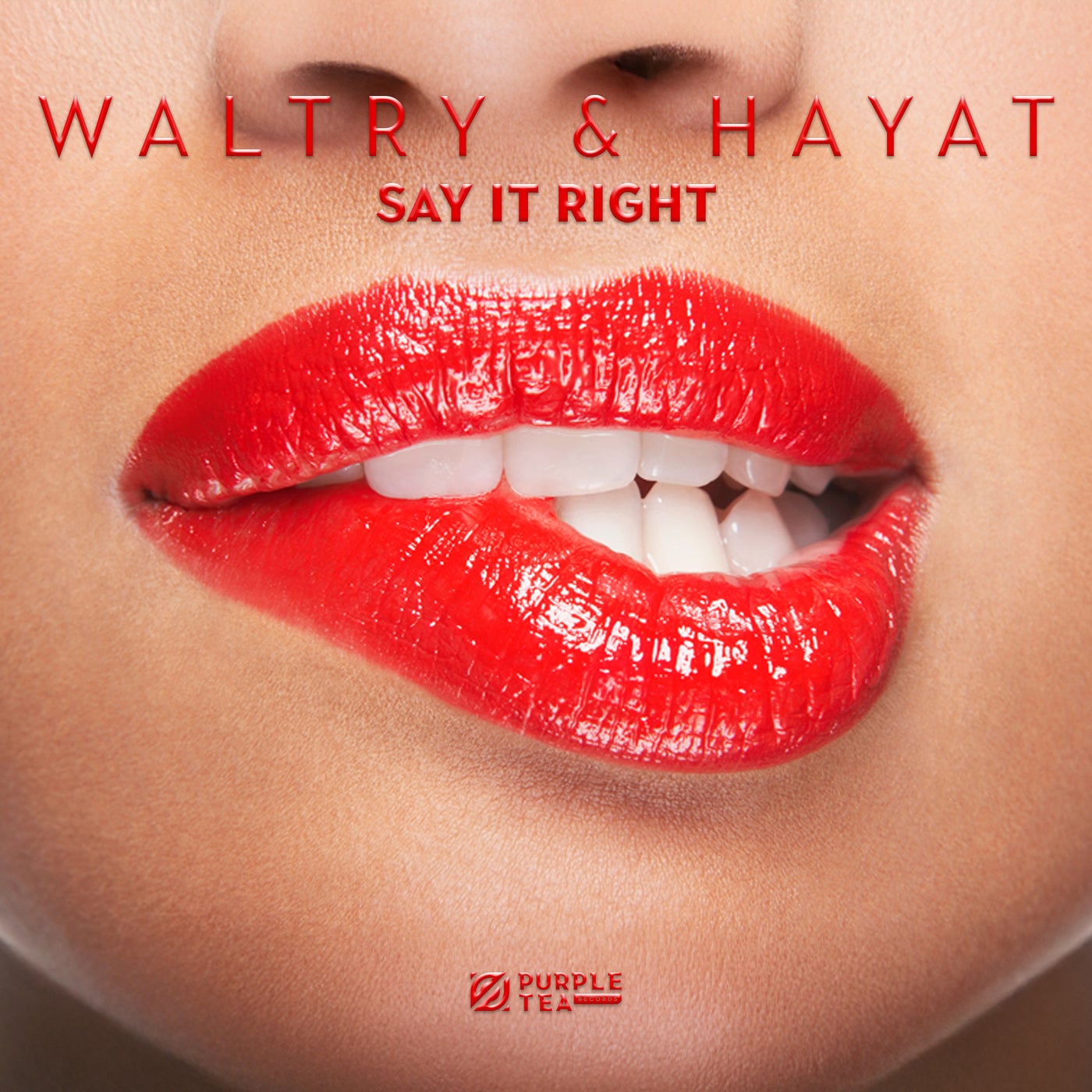 Cover - HayaT, Waltry - Say It Right (Extended Mix) Promo tools