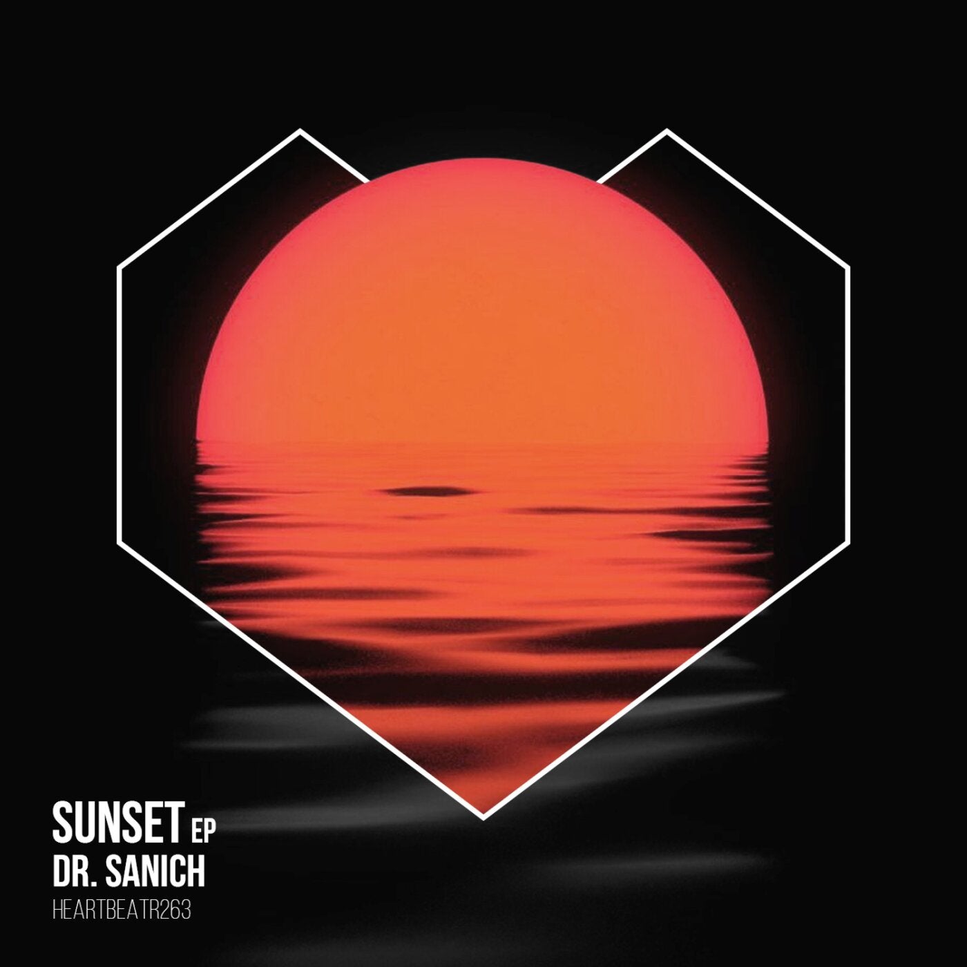 Cover - Dr. Sanich - Migratory Bird (Extended Mix) Promo tools