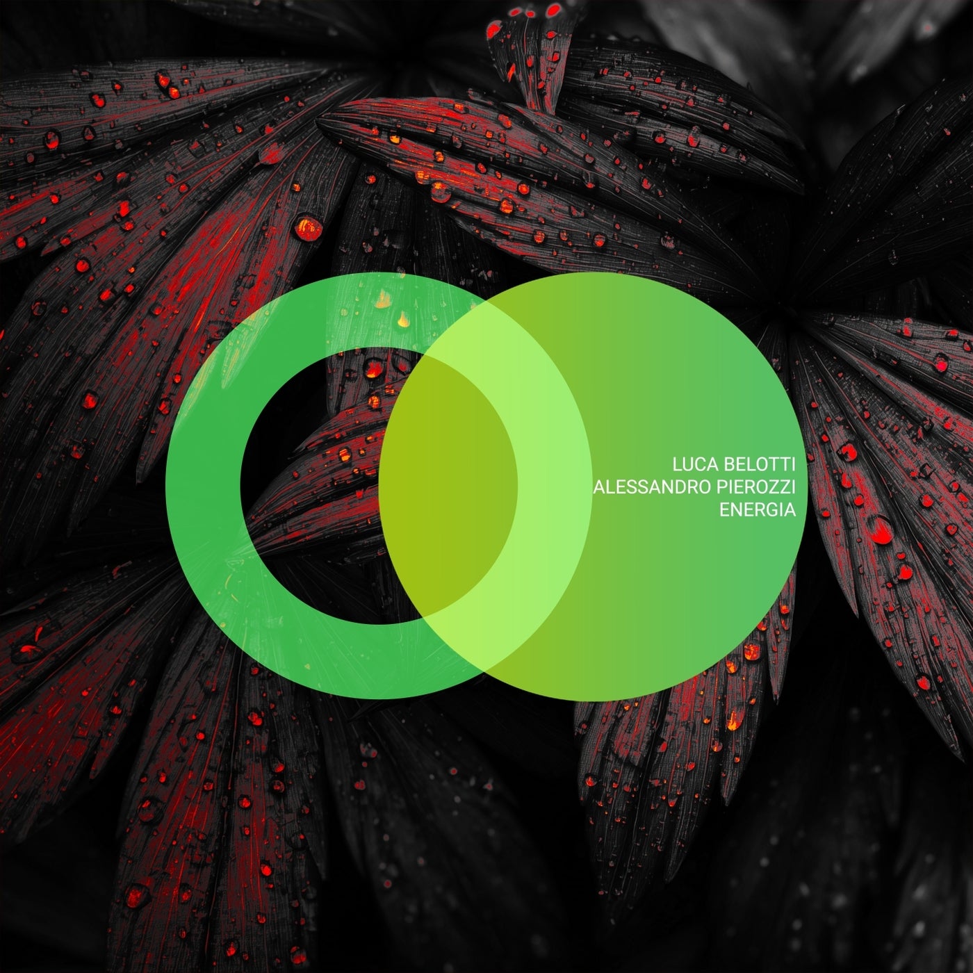 Cover - Alessandro Pierozzi, Luca Belotti - Energia (Original Mix) Promo tools