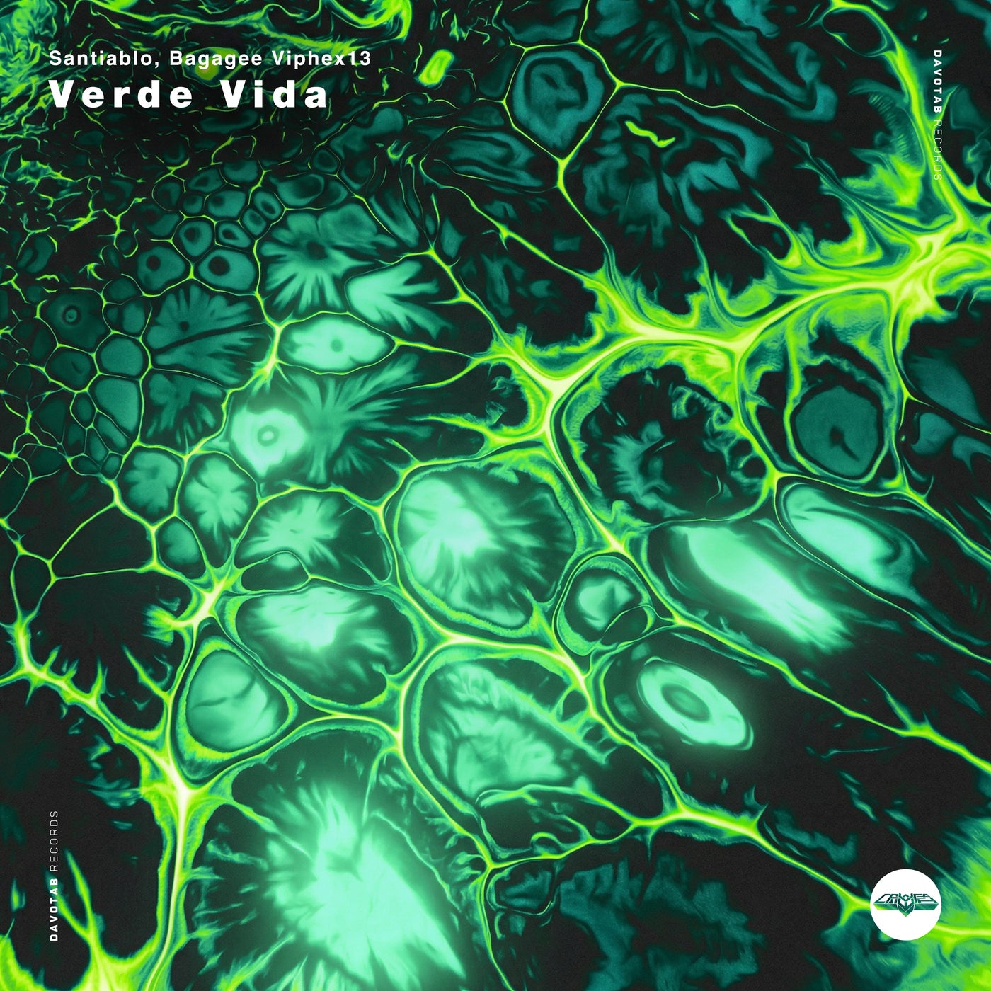 Cover - Bagagee Viphex13, SANTIABLO - Tiger's Nest (Original Mix) Promo tools