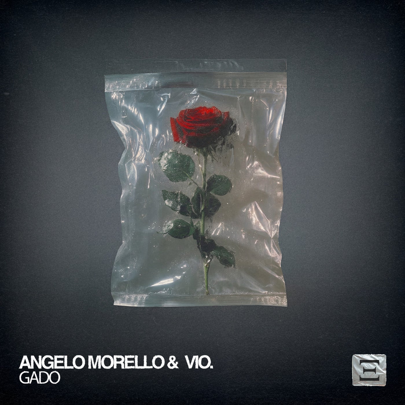Cover - Angelo Morello, vio. - Gado (Extended Mix) Promo tools