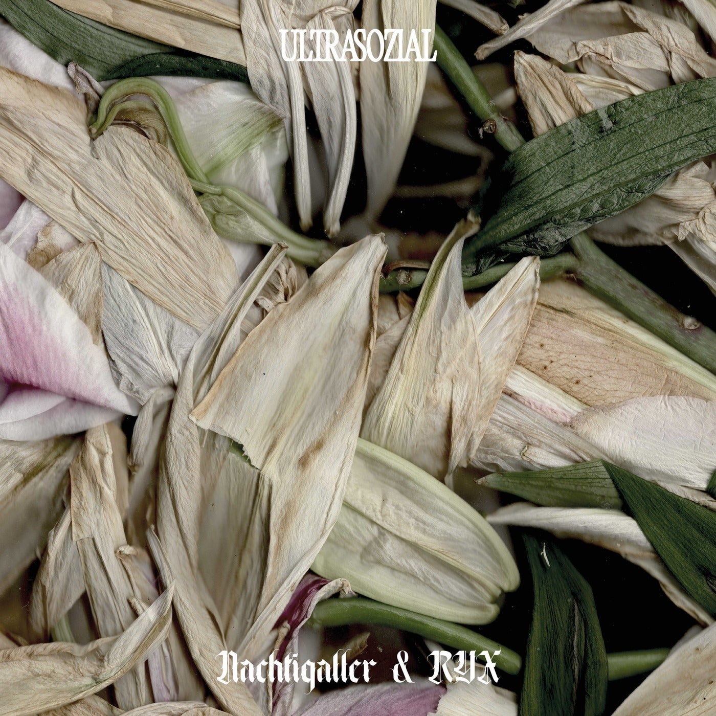 Cover - Nachtigaller, RYX - Crushed Memories (Original Mix) Promo tools