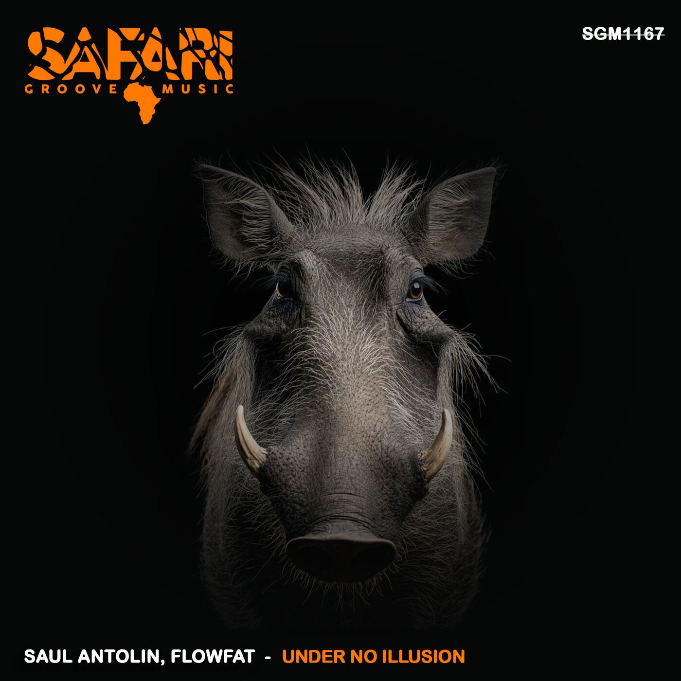 Cover - Saul Antolin, FLOWFAT - Under No Illusion (Original Mix) Promo tools