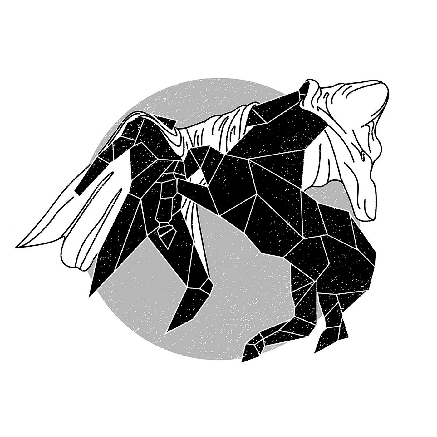 Cover - Ripperton, Headless Ghost - Basik Fire (Original Mix) Promo tools