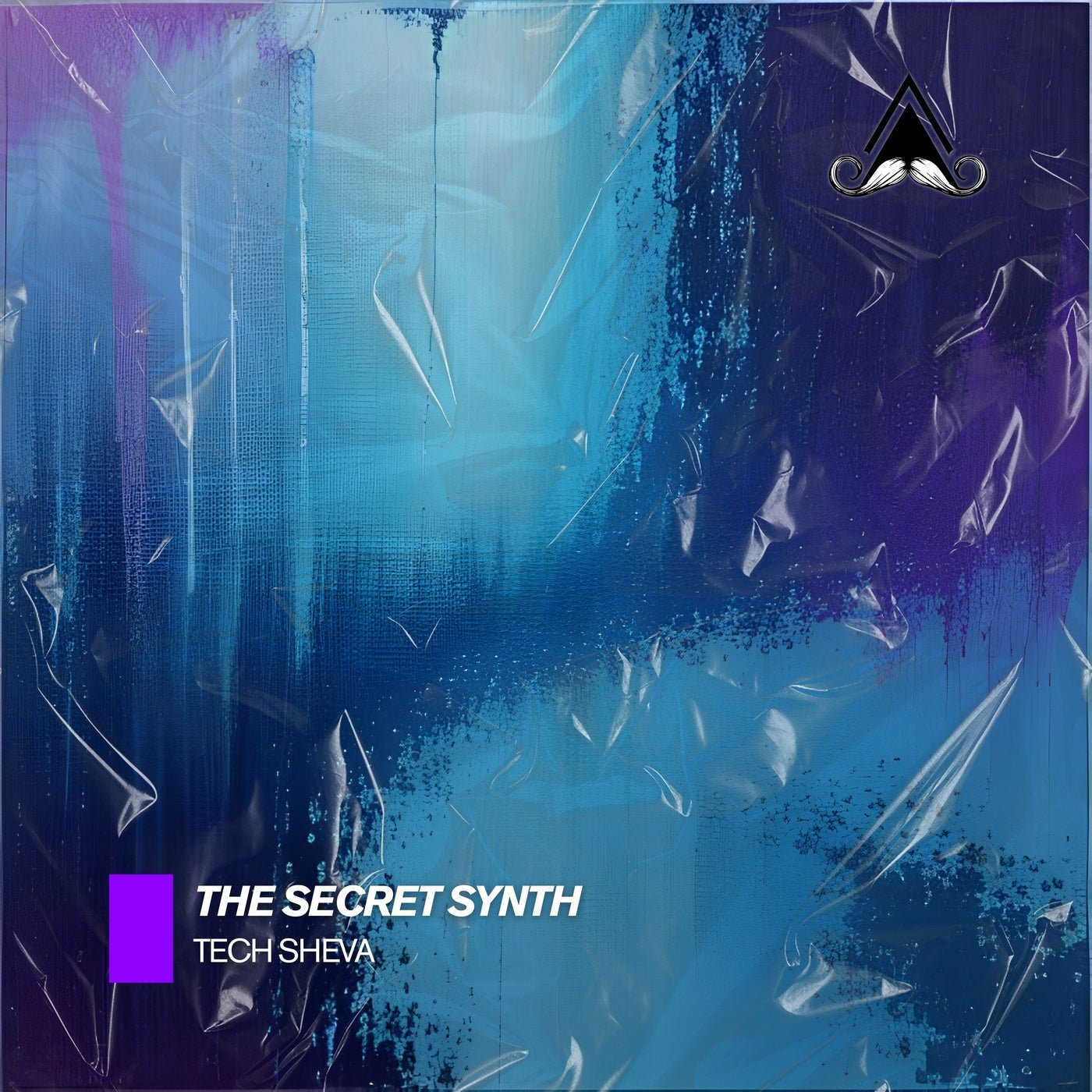 Cover - Tech Sheva - The Secret Synth (Original Mix) Promo tools