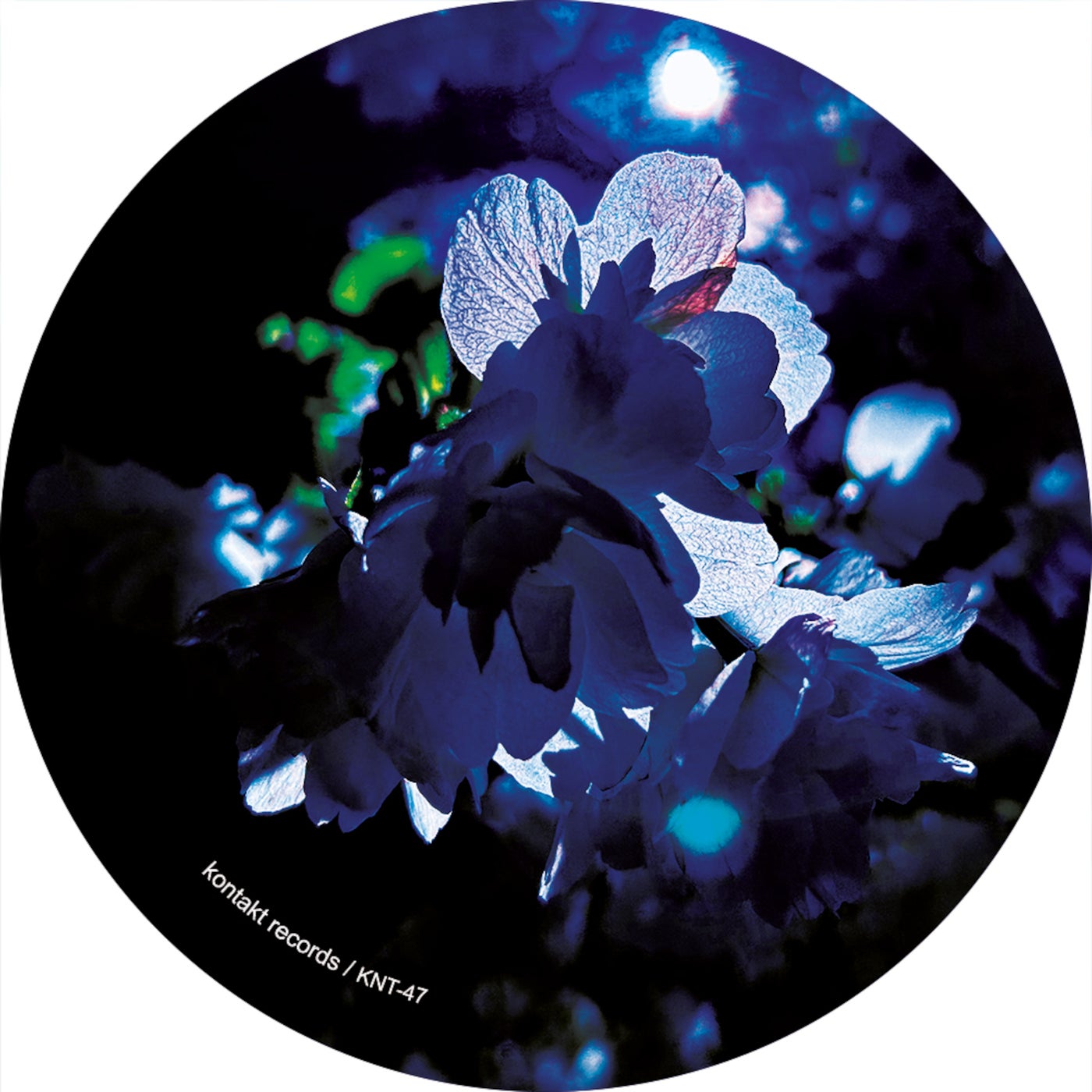Cover - Matt Thibideau - Inversion (Original Mix) Promo tools