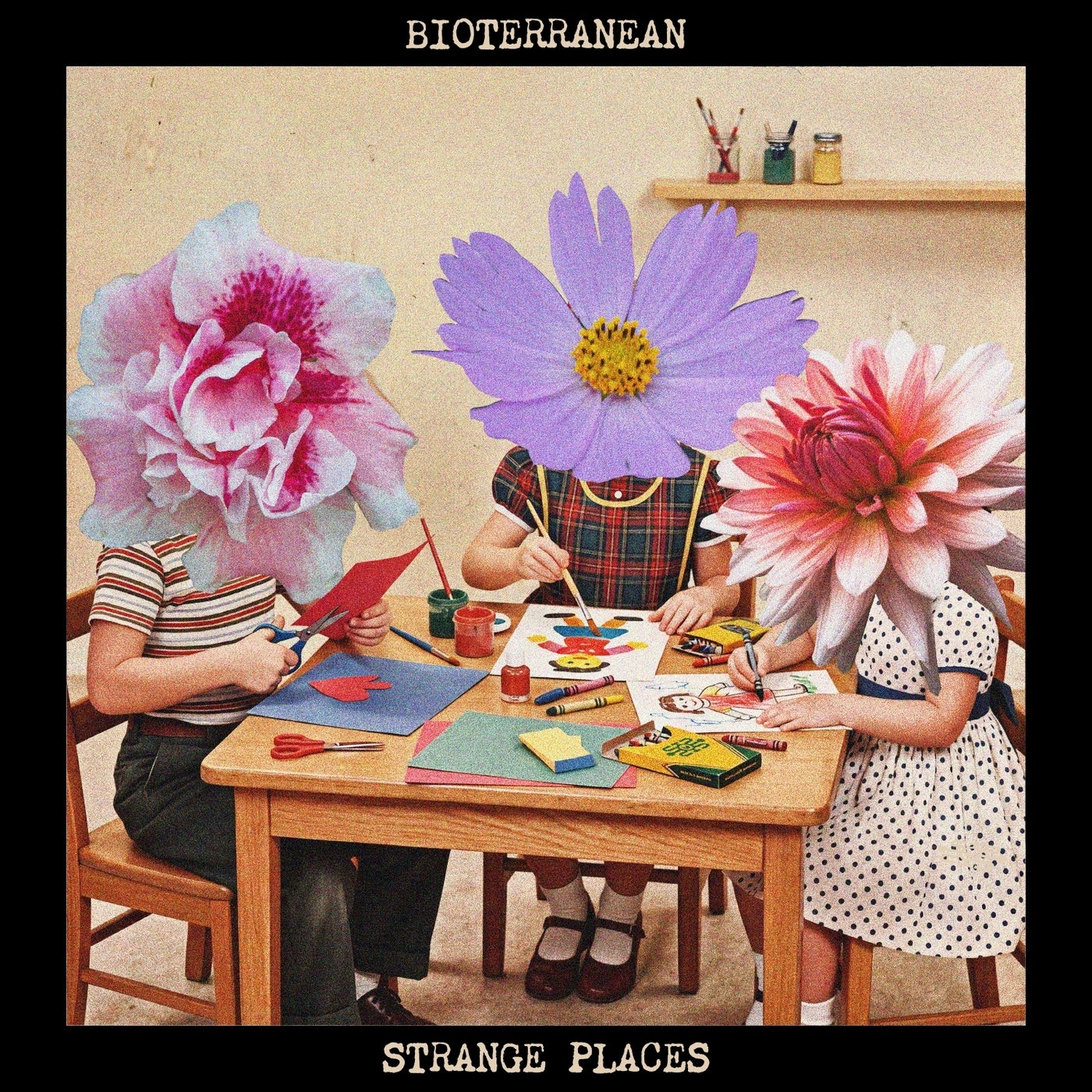 Cover - Bioterranean - Hoverer (Original Mix) Promo tools