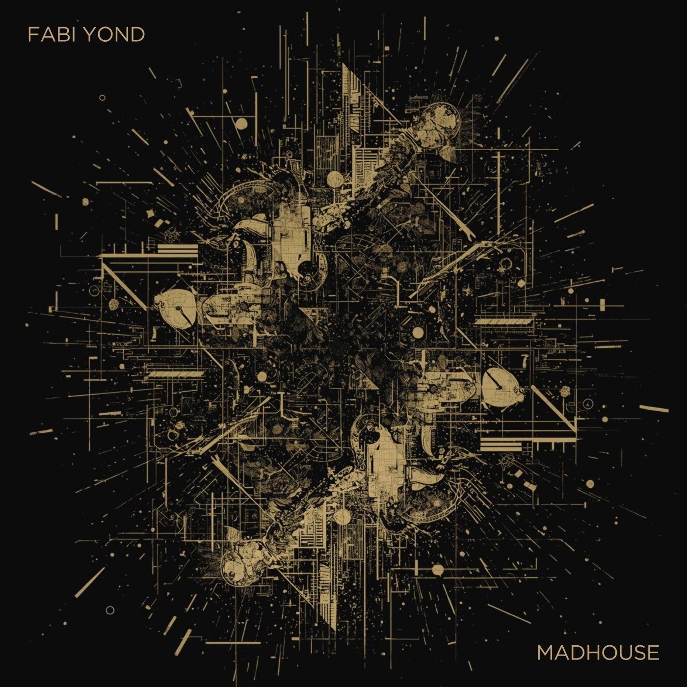 Cover - Fabi Yond - The Animals We Didn't Eat (Laaar Remix) Promo tools