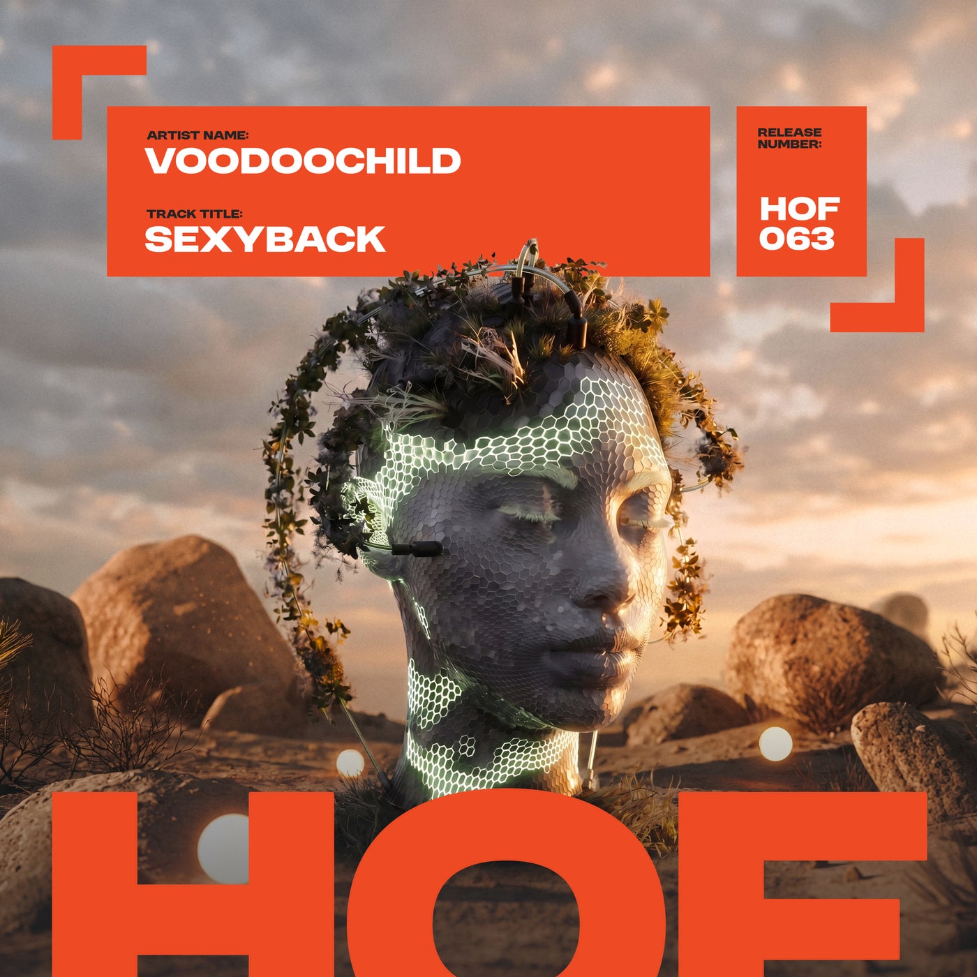 Cover - Voodoochild - SexyBack (Original Mix) Promo tools