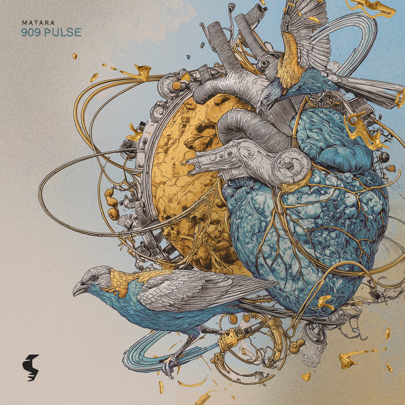 Cover - Matara - 909 Pulse (Extended Mix) Promo tools