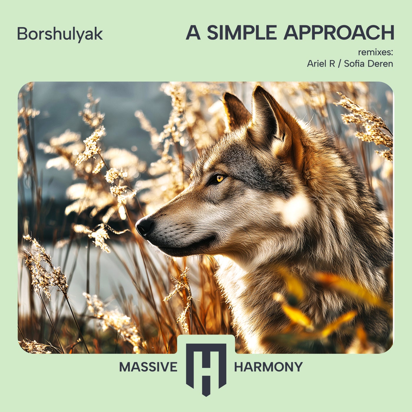 Cover - Borshulyak - Simplicity (Sofia Deren Remix) Promo tools