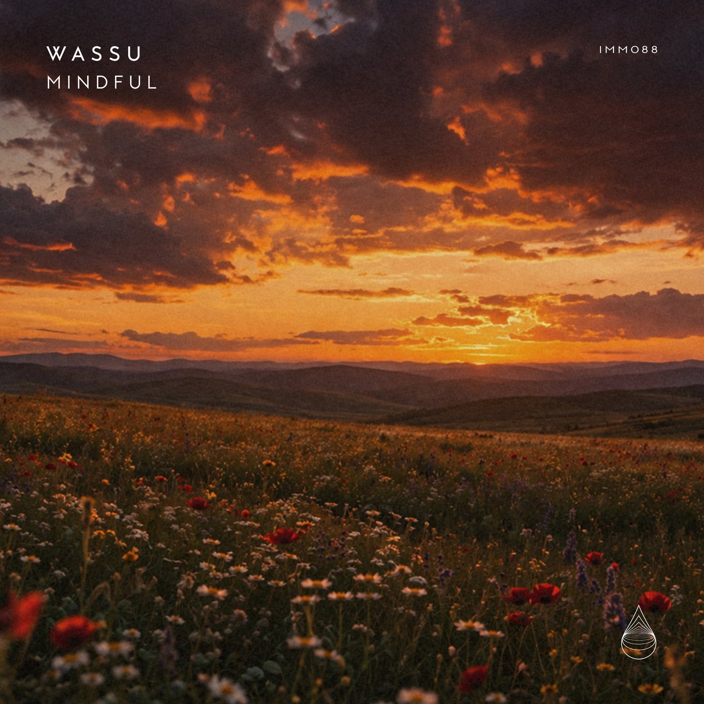 Cover - Wassu - Mindful (Extended Mix) Promo tools