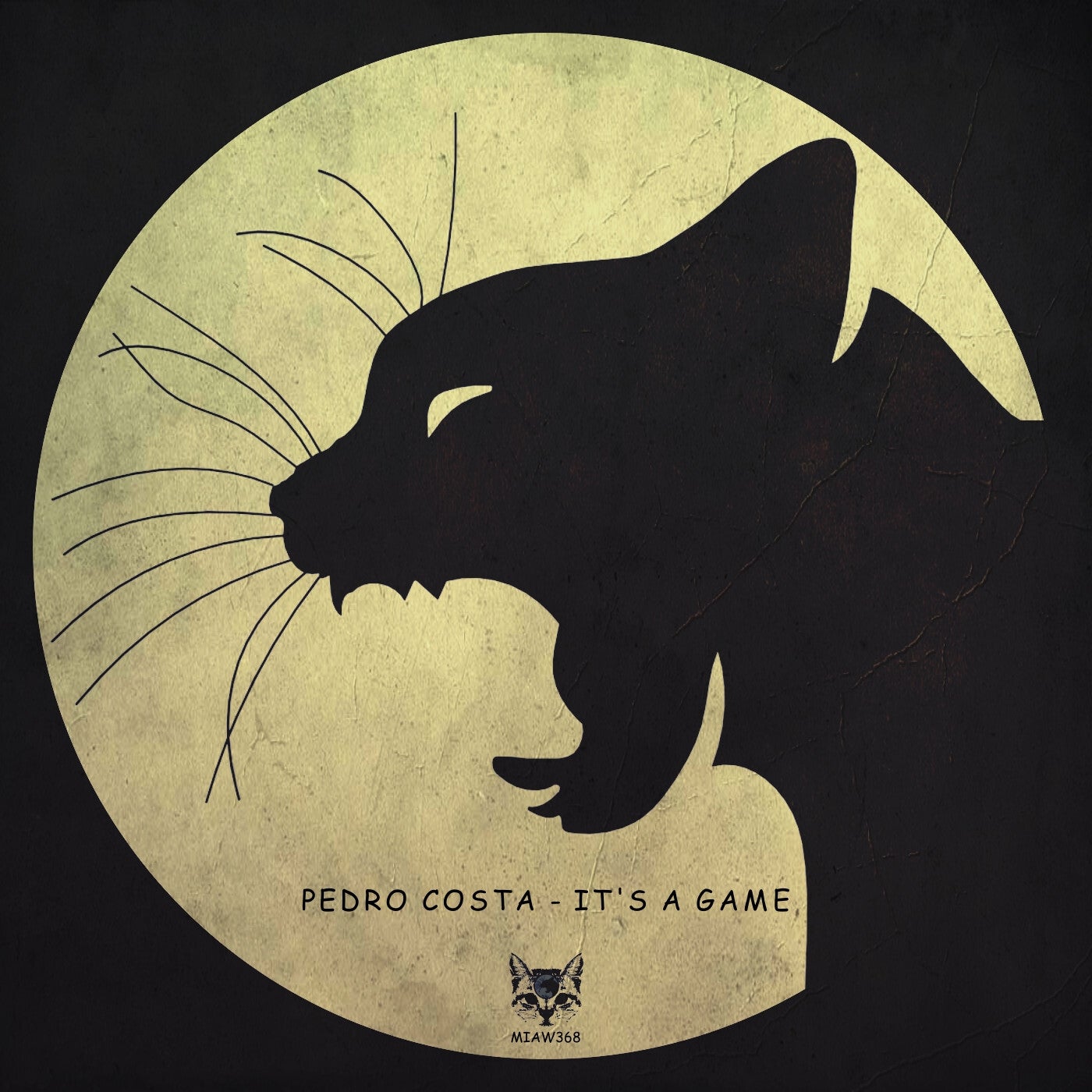 Cover - Pedro Costa - It's a Game (Original Mix) Promo tools