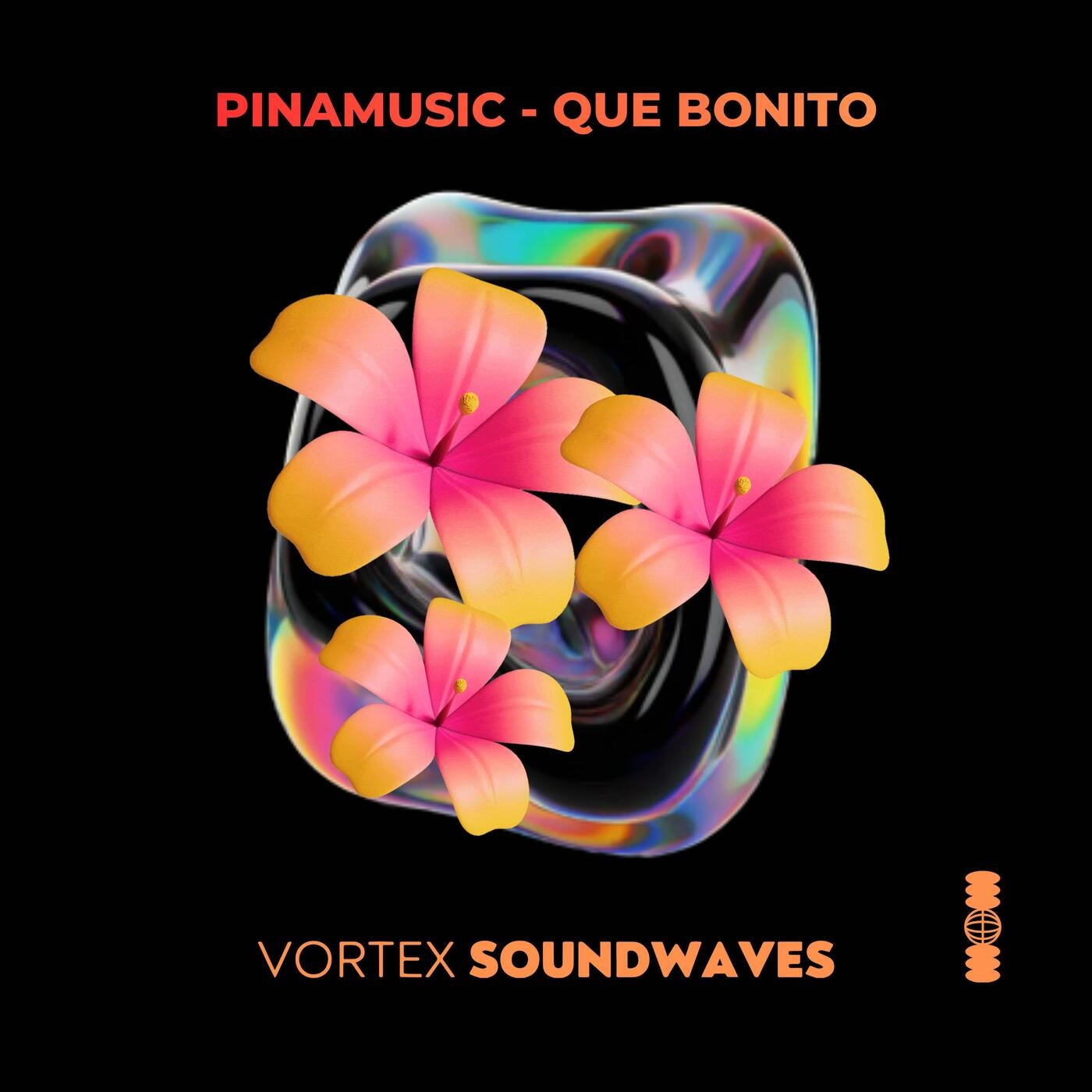 Cover - PINAMUSIC - Que Bonito (Rizzo (Col) Remix) (Rizzo (Col) Remix) Promo tools