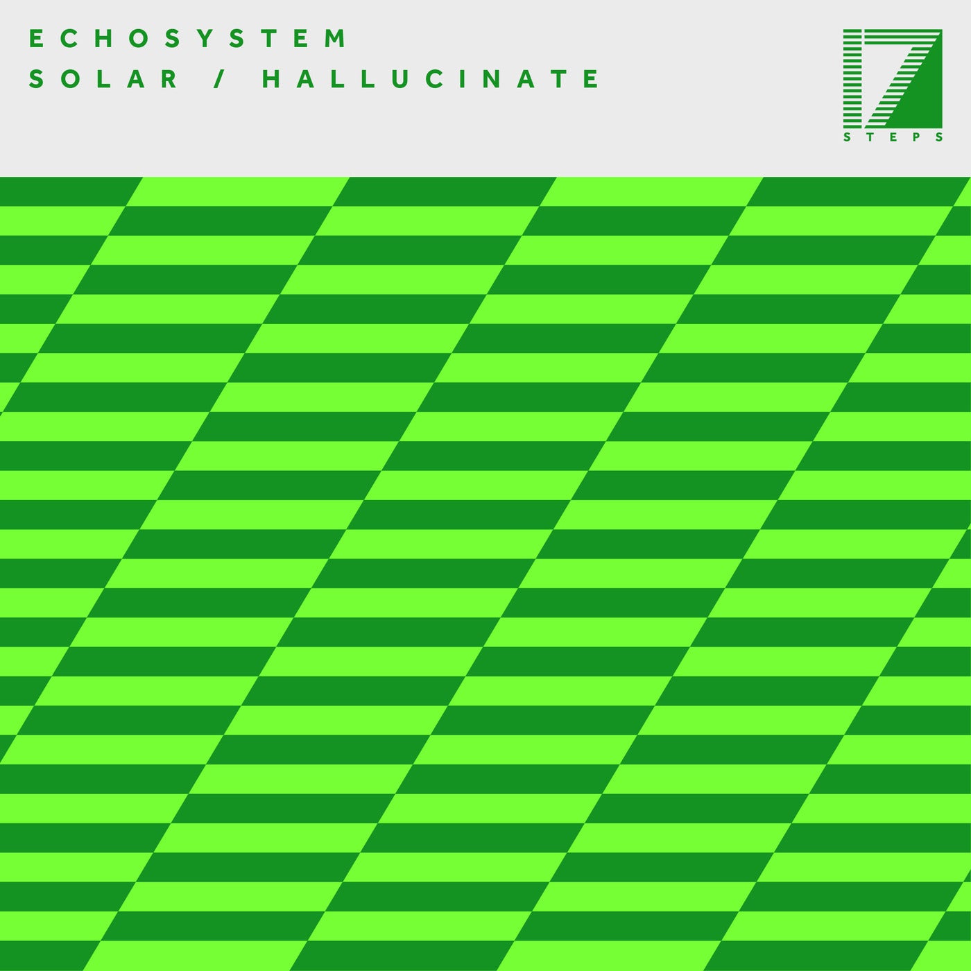 Cover - Mak & Pasteman, Echosystem - Hallucinate (Extended Mix) Promo tools