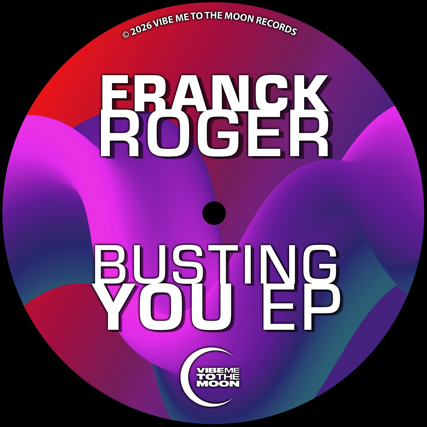 Cover - Franck Roger - Busting You (Original Mix) Promo tools