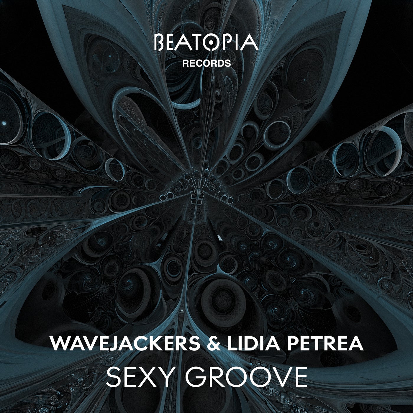 Cover - Wavejackers, Lidia Petrea - Sexy Groove (Original Mix) Promo tools
