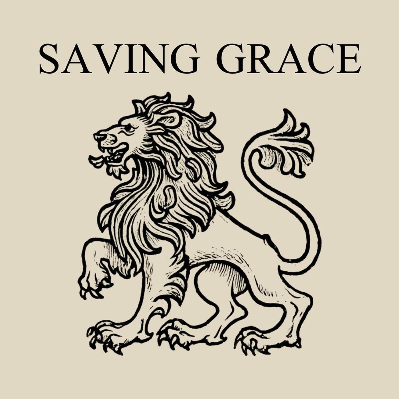 Cover - Babsy., Lionsaddle - Saving Grace (Original Mix) Promo tools