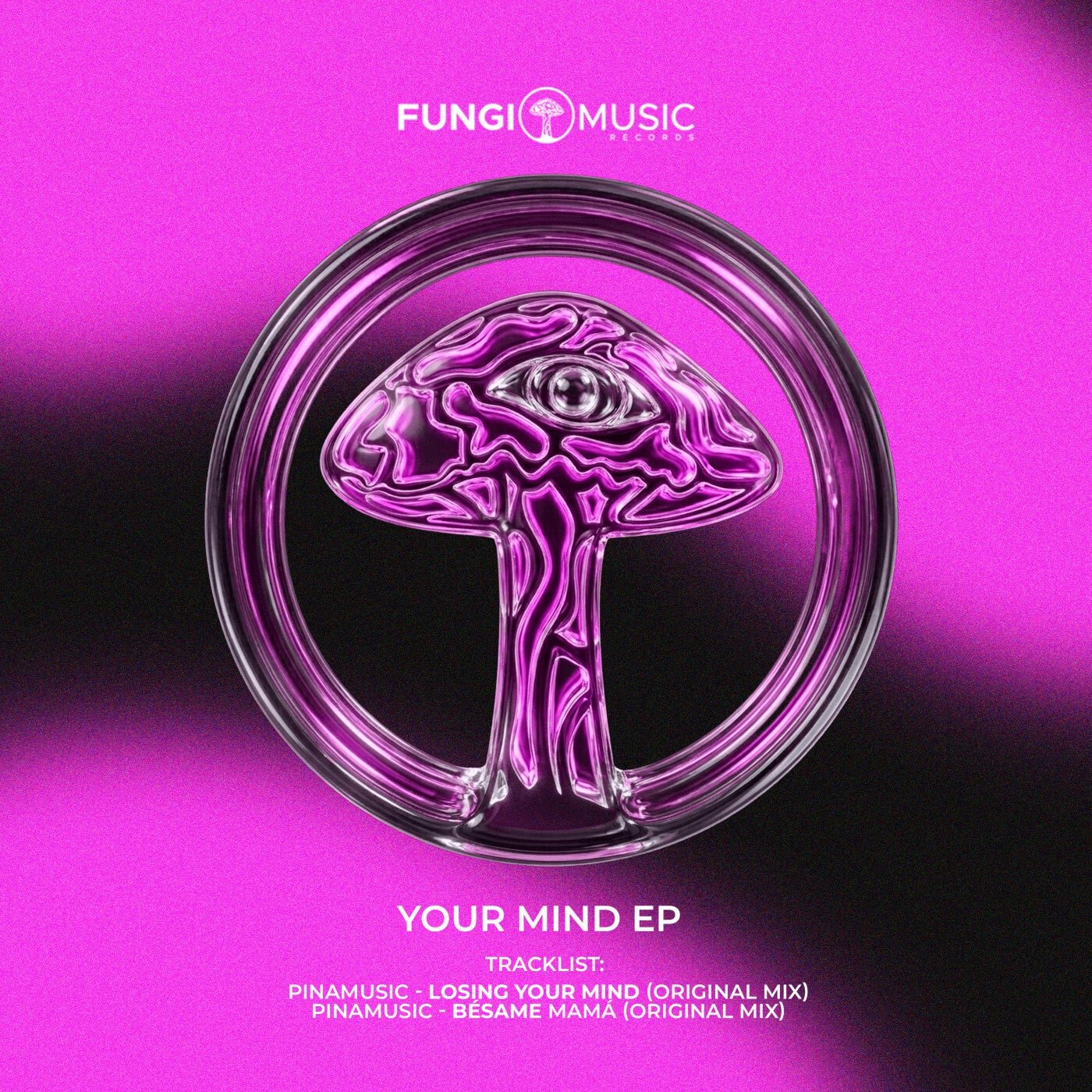 Cover - PINAMUSIC - Besame Mama (Original Mix) Promo tools